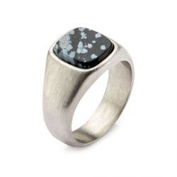 Brushed Stainless Steel Ring with Snowflake Obsidian FR19976F